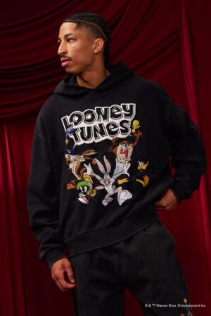 Looney Tunes Embroidered Hoodies